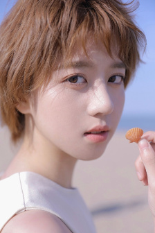 顶楼的大象在线观看